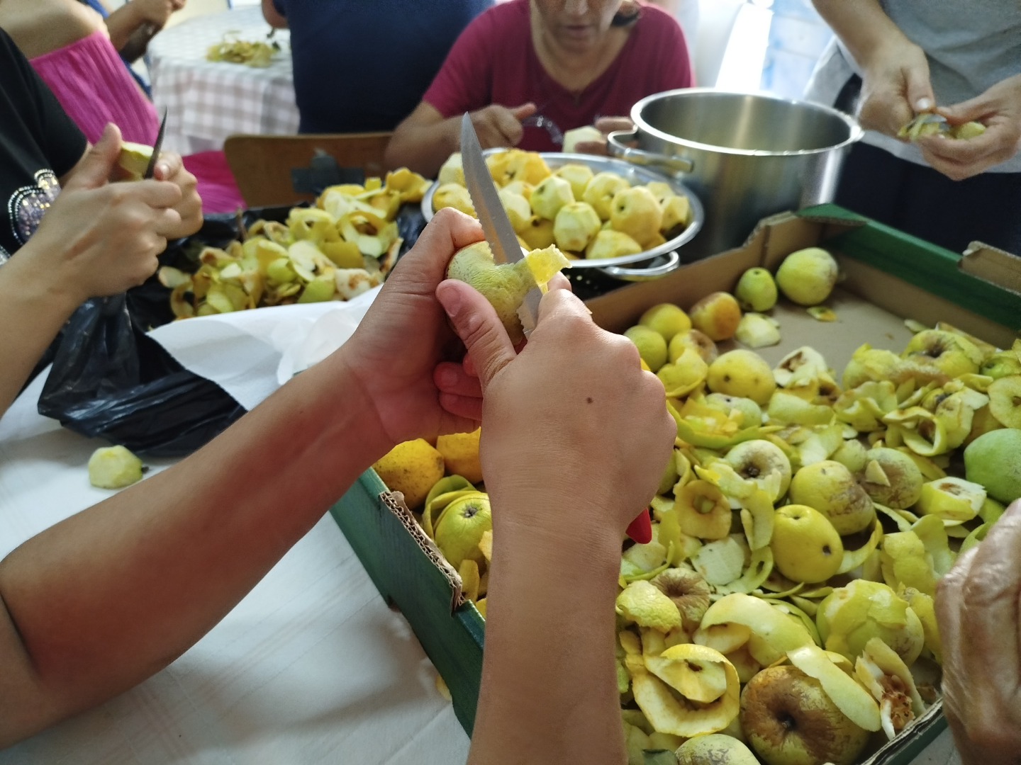 Famílias preparam Lanches Saudáveis com o Projeto Quero Ser Mais E9G